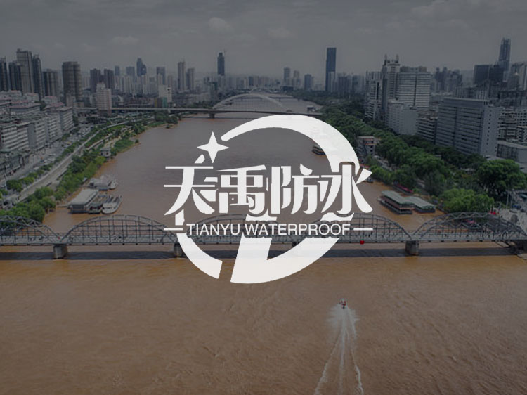 蘭州傳誠網絡公司案例-天禹防水