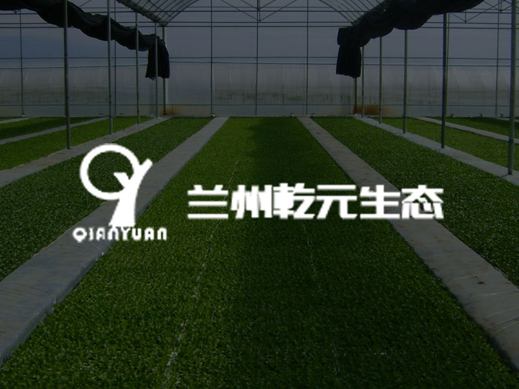 蘭州傳誠網絡公司案例-乾元生態科技